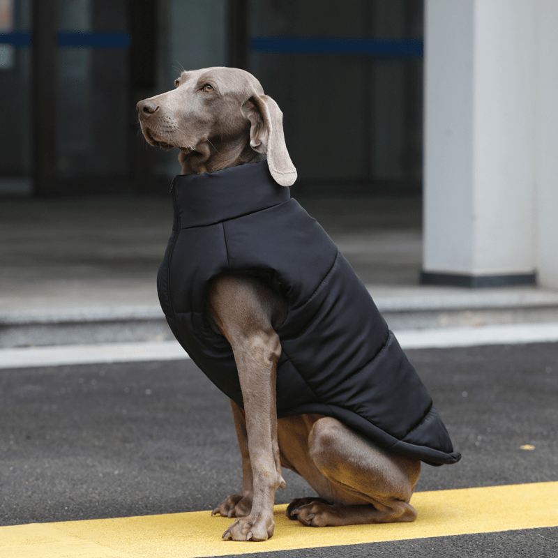 Thick Warm Vest Big Dog Clothes for Winter Cozy Puffer Pet Jacket - PIKAPIKA