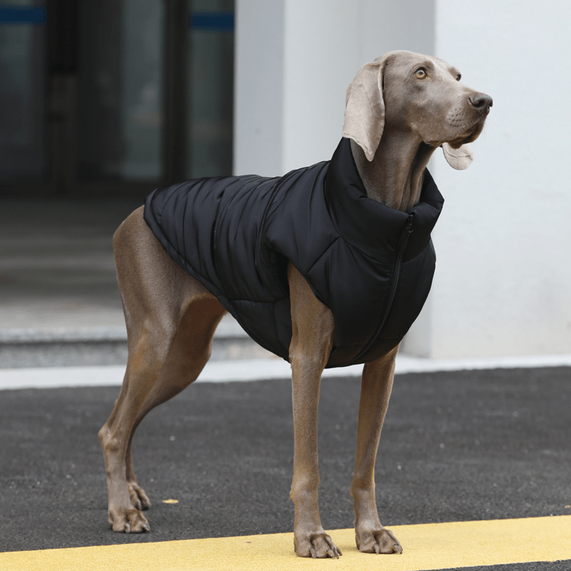 Thick Warm Vest Big Dog Clothes for Winter Cozy Puffer Pet Jacket - PIKAPIKA