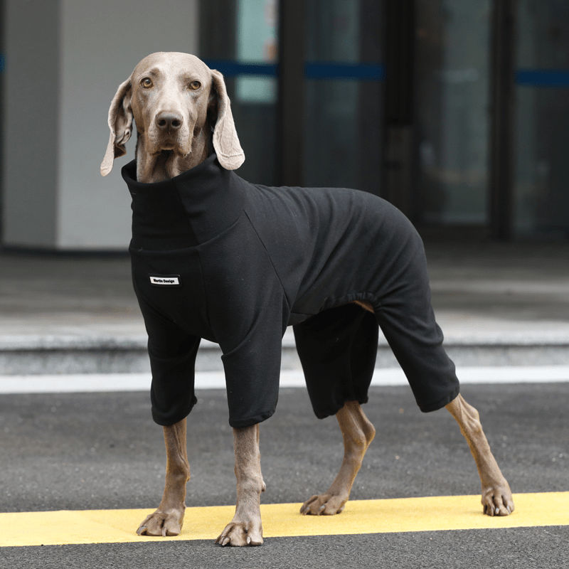 Thick Warm Vest Big Dog Clothes for Winter Cozy Puffer Pet Jacket - PIKAPIKA