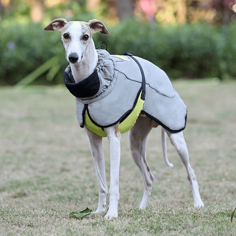 Thick Warm Whippet Dog Vests Windproof Outdoor Coat with Reflective Strips Pet Clothes - PIKAPIKA
