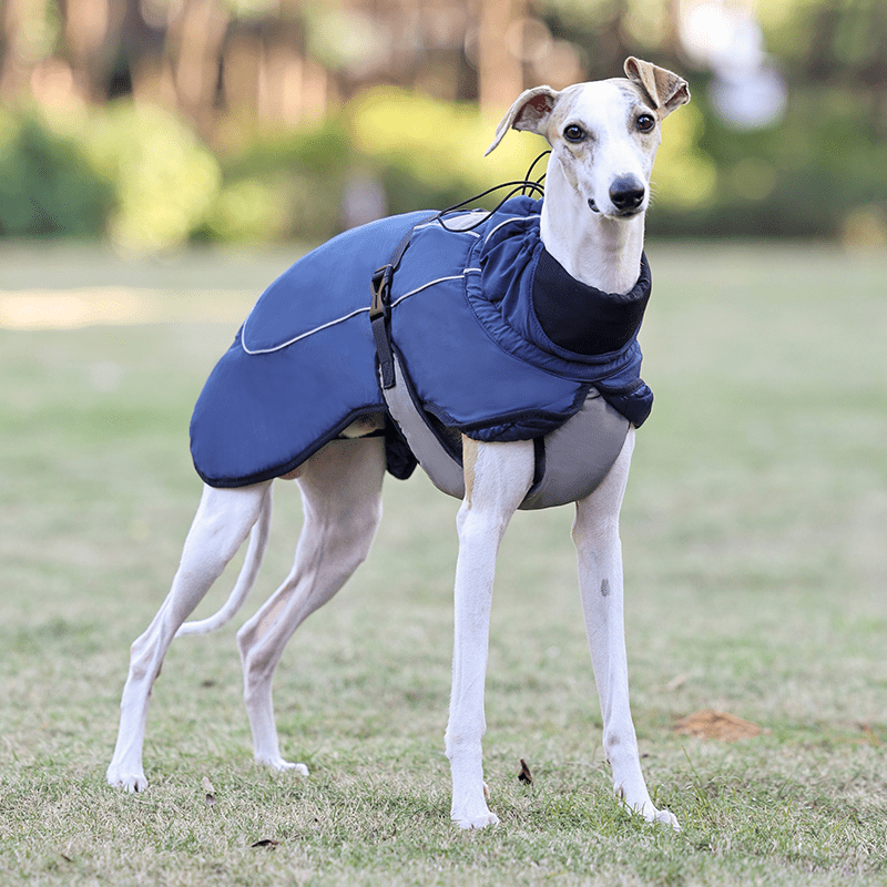 Thick Warm Whippet Dog Vests Windproof Outdoor Coat with Reflective Strips Pet Clothes - PIKAPIKA
