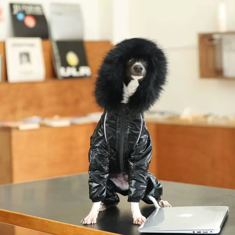 Thickened Cotton Hooded Coat Winter Jacket for Whippet Italian Greyhound - PIKAPIKA