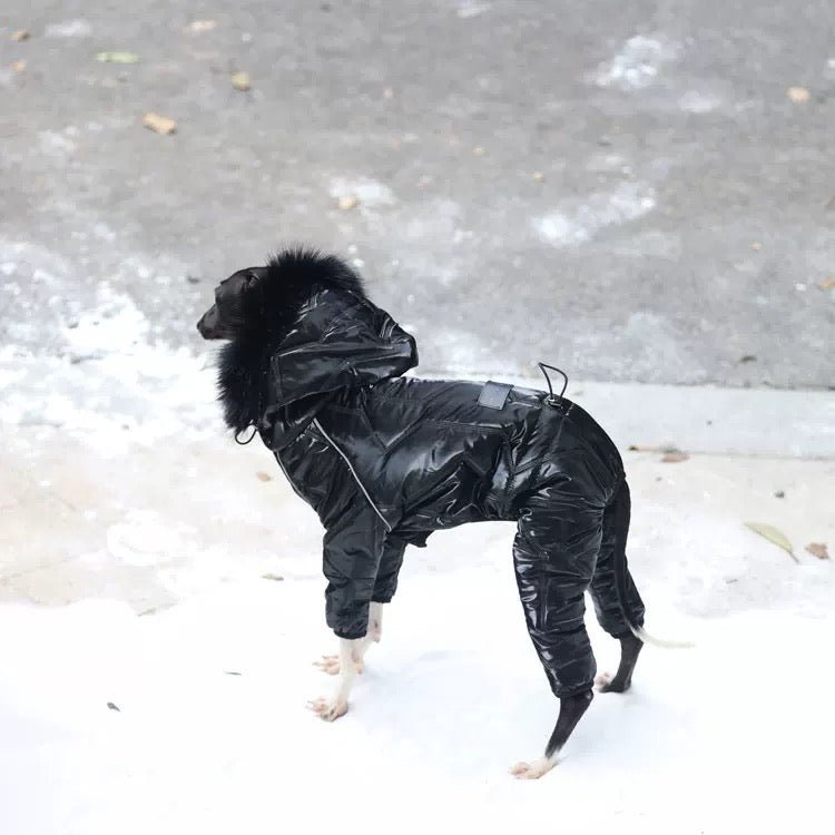 Thickened Cotton Hooded Coat Winter Jacket for Whippet Italian Greyhound - PIKAPIKA