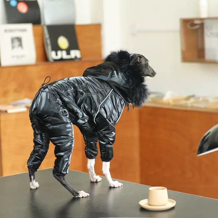 Thickened Cotton Hooded Coat Winter Jacket for Whippet Italian Greyhound - PIKAPIKA