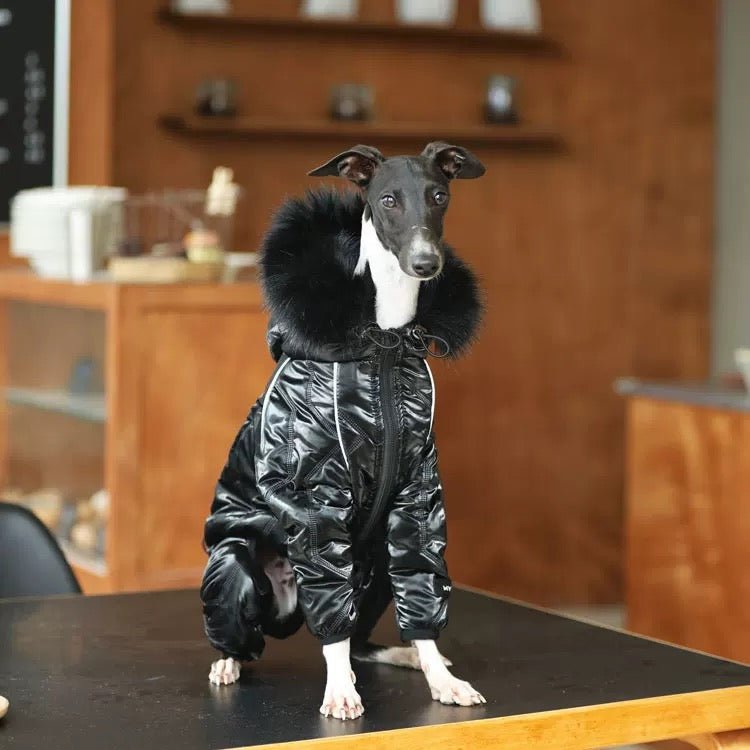 Thickened Cotton Hooded Coat Winter Jacket for Whippet Italian Greyhound - PIKAPIKA