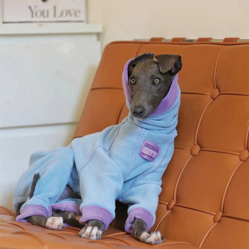Thickened Fleece Onesie Italian Greyhound Whippet Dog Clothes - PIKAPIKA