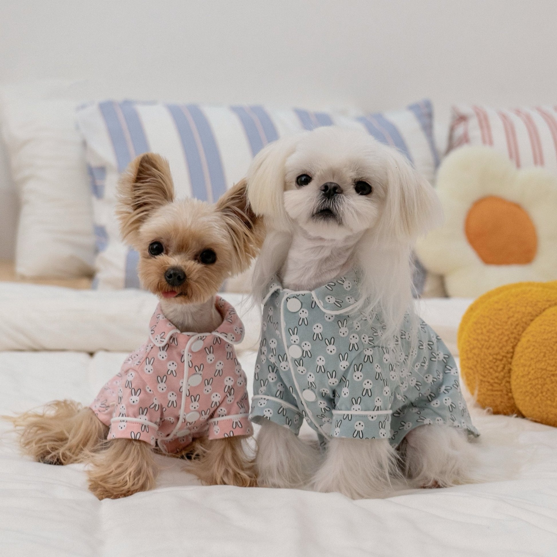Thin Cozy Bunny Print Sleepwear for Toy Dogs - PIKAPIKA