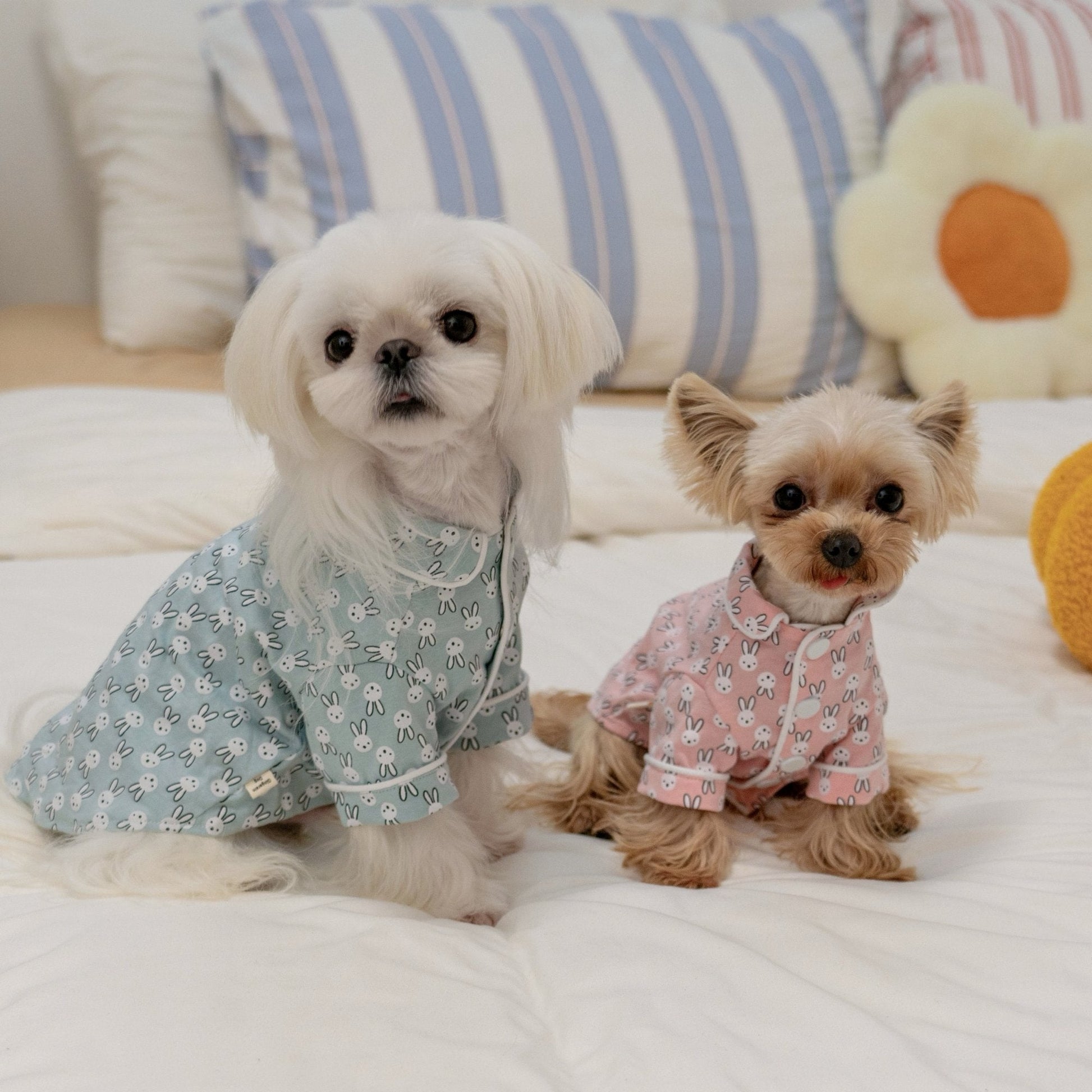 Thin Cozy Bunny Print Sleepwear for Toy Dogs - PIKAPIKA