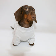 Thin Dachshund Onesies Dog Stripes Clothes - PIKAPIKA