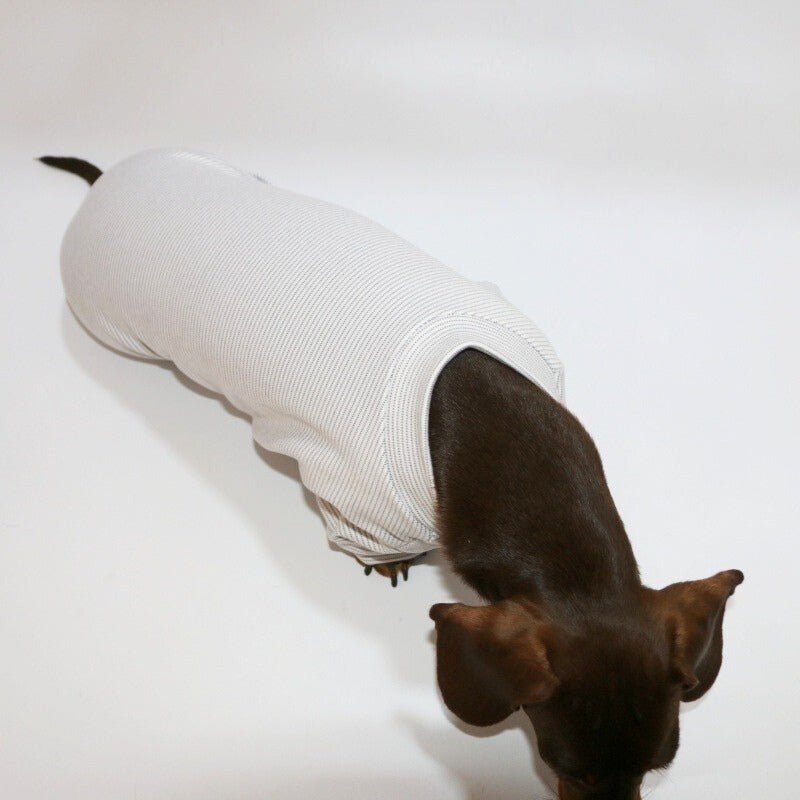 Thin Dachshund Onesies Dog Stripes Clothes - PIKAPIKA