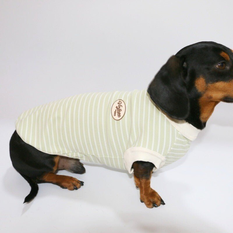 Thin Dachshund T-shirts Dog Sleeveless Clothes - PIKAPIKA