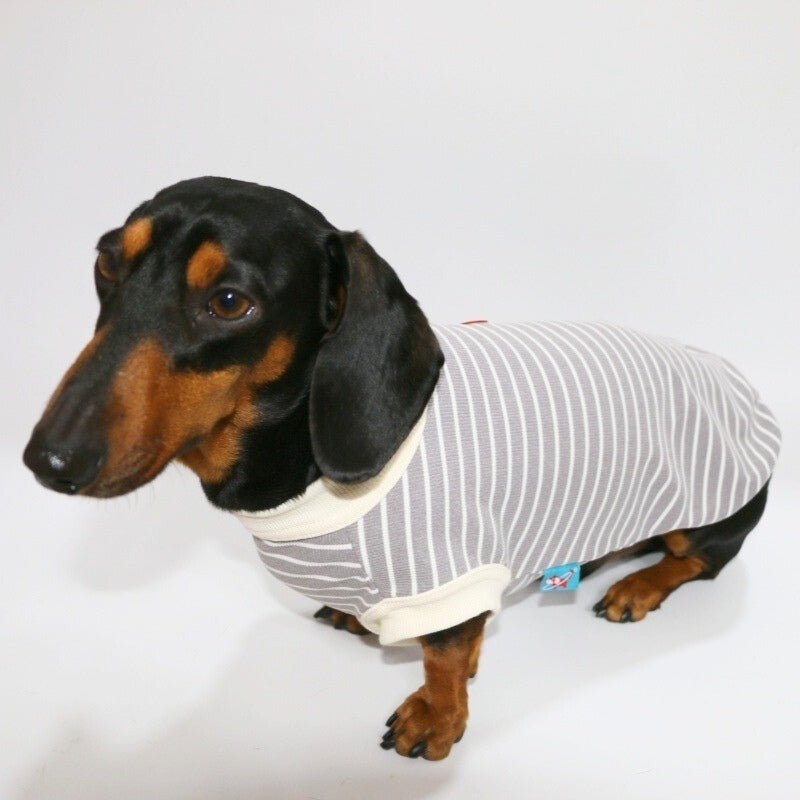 Thin Dachshund T-shirts Dog Sleeveless Clothes - PIKAPIKA