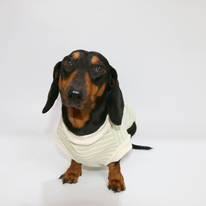 Thin Dachshund T-shirts Dog Sleeveless Clothes - PIKAPIKA