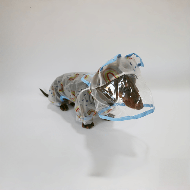 Transparent Hooded Raincoat Dachshund Dog Full Body Transparent - PIKAPIKA