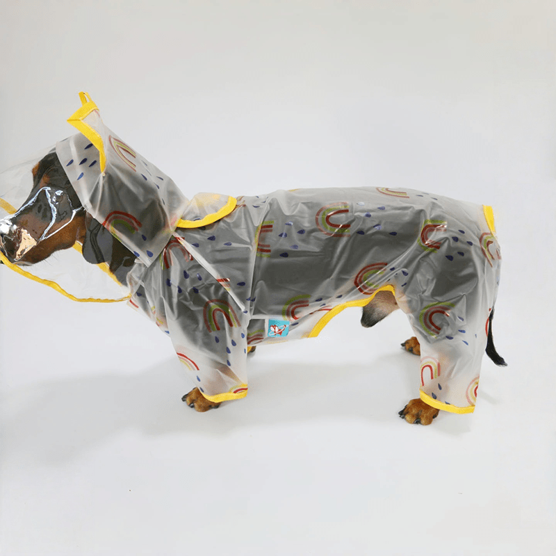 Transparent Hooded Raincoat Dachshund Dog Full Body Transparent - PIKAPIKA