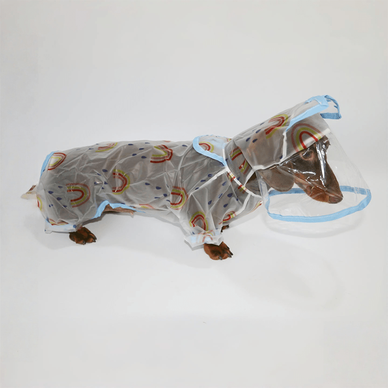 Transparent Hooded Raincoat Dachshund Dog Full Body Transparent - PIKAPIKA