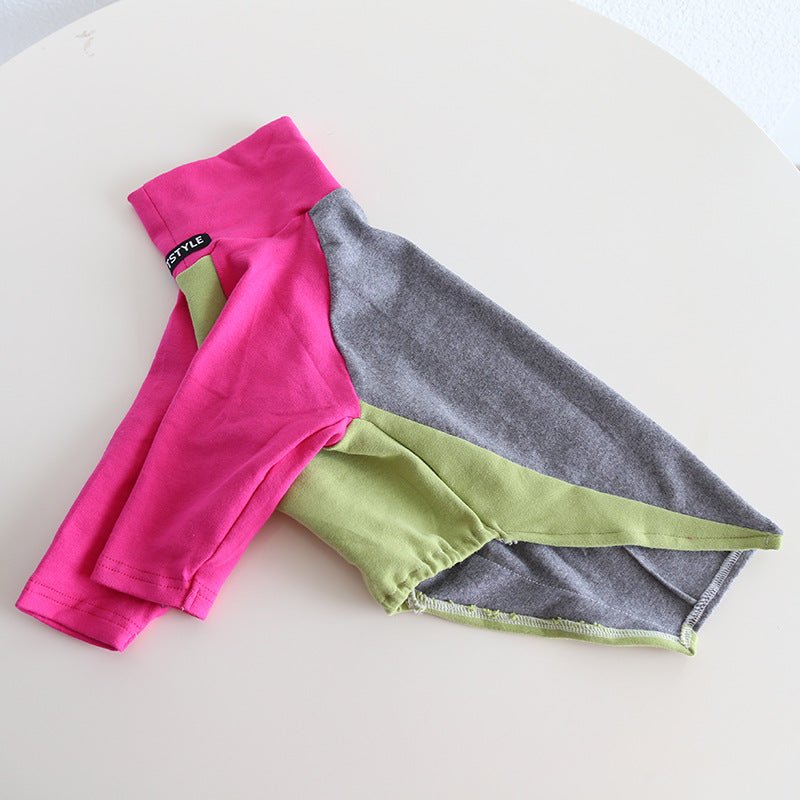 Tricolor Layered Base Shirt Italian Greyhound Whippet Dog Clothes - PIKAPIKA