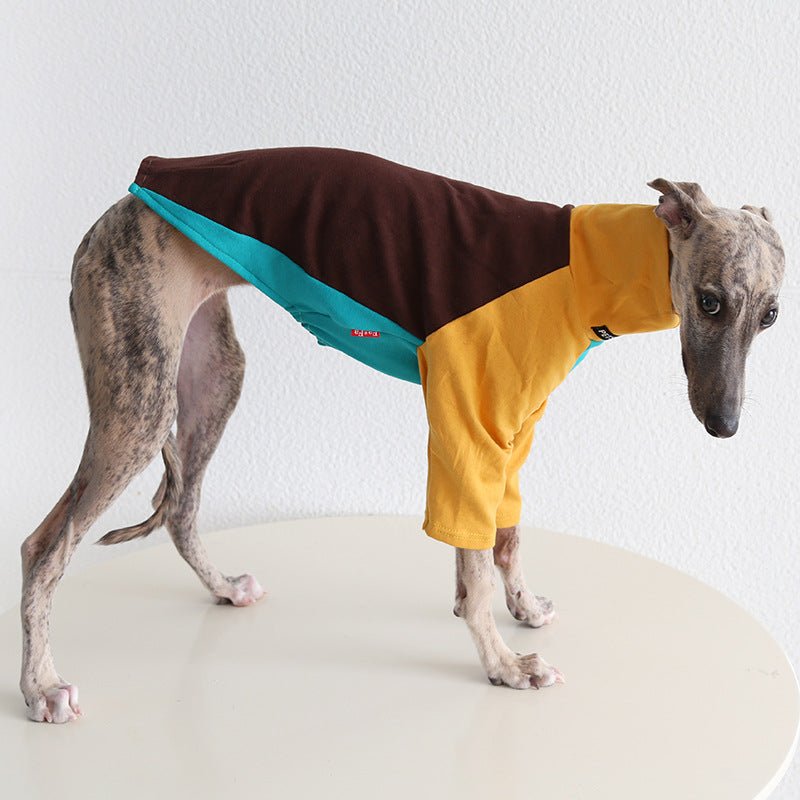 Tricolor Layered Base Shirt Italian Greyhound Whippet Dog Clothes - PIKAPIKA