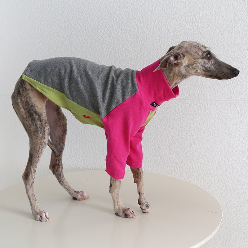 Tricolor Layered Base Shirt Italian Greyhound Whippet Dog Clothes - PIKAPIKA