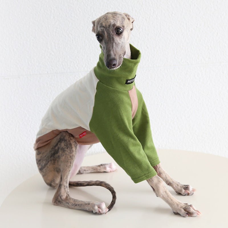 Tricolor Layered Base Shirt Italian Greyhound Whippet Dog Clothes - PIKAPIKA
