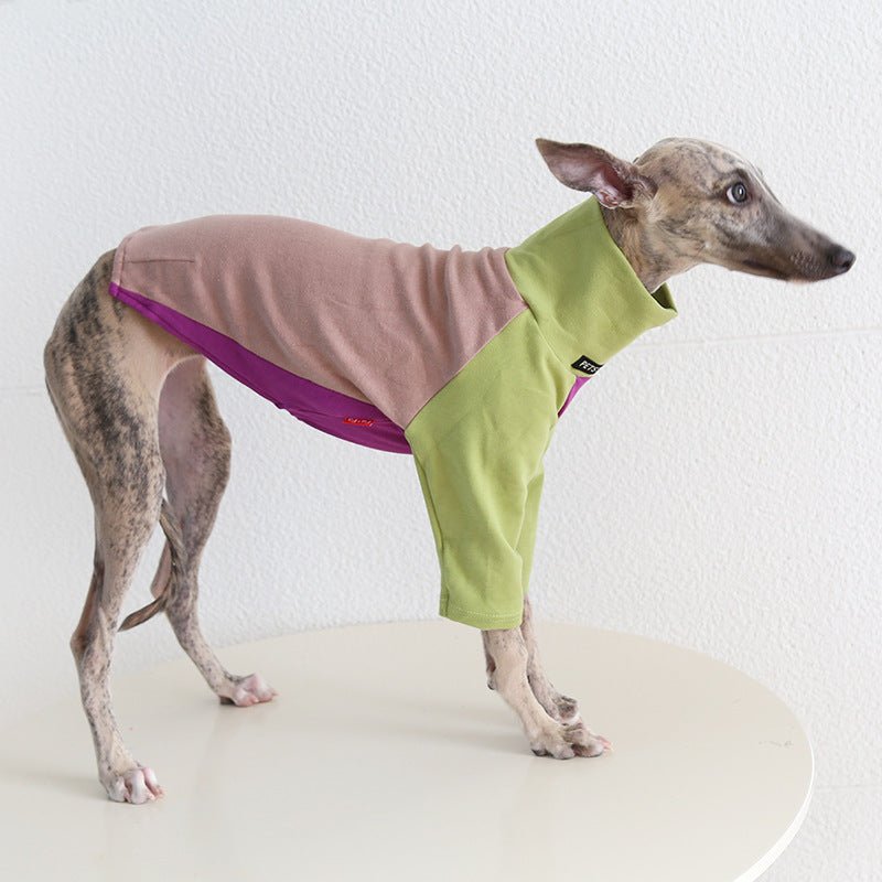 Tricolor Layered Base Shirt Italian Greyhound Whippet Dog Clothes - PIKAPIKA