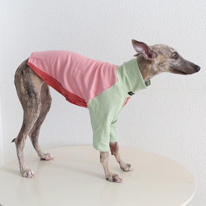 Tricolor Layered Base Shirt Italian Greyhound Whippet Dog Clothes - PIKAPIKA