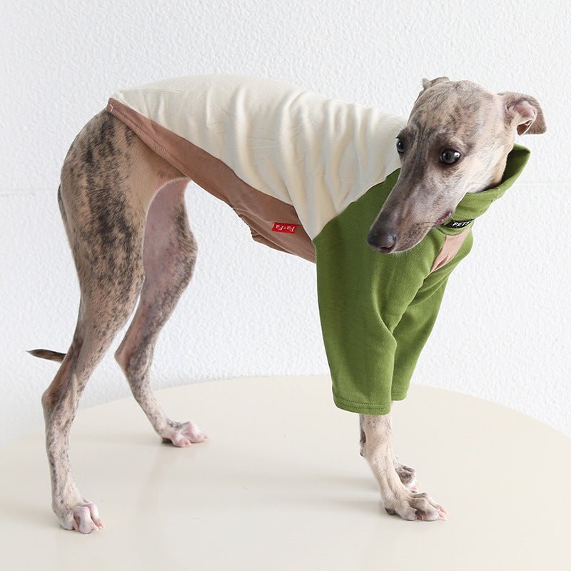 Tricolor Layered Base Shirt Italian Greyhound Whippet Dog Clothes - PIKAPIKA