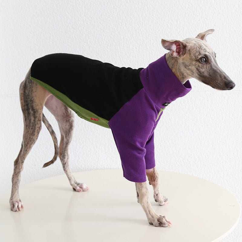 Tricolor Layered Base Shirt Italian Greyhound Whippet Dog Clothes - PIKAPIKA
