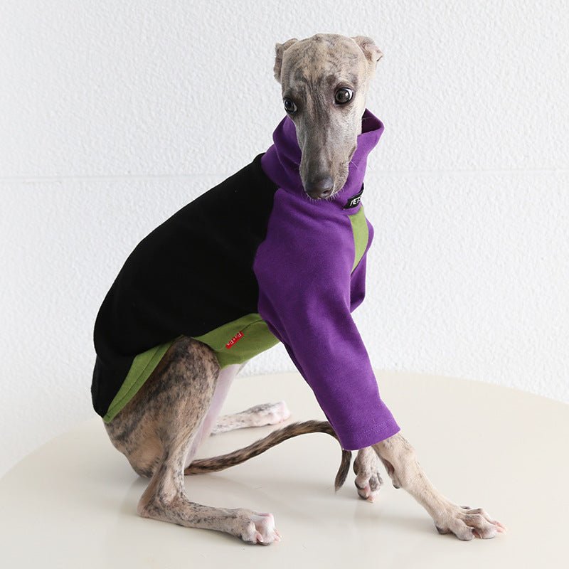 Tricolor Layered Base Shirt Italian Greyhound Whippet Dog Clothes - PIKAPIKA