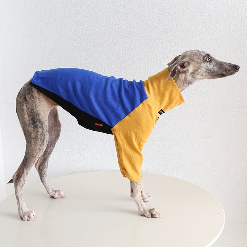 Tricolor Layered Base Shirt Italian Greyhound Whippet Dog Clothes - PIKAPIKA