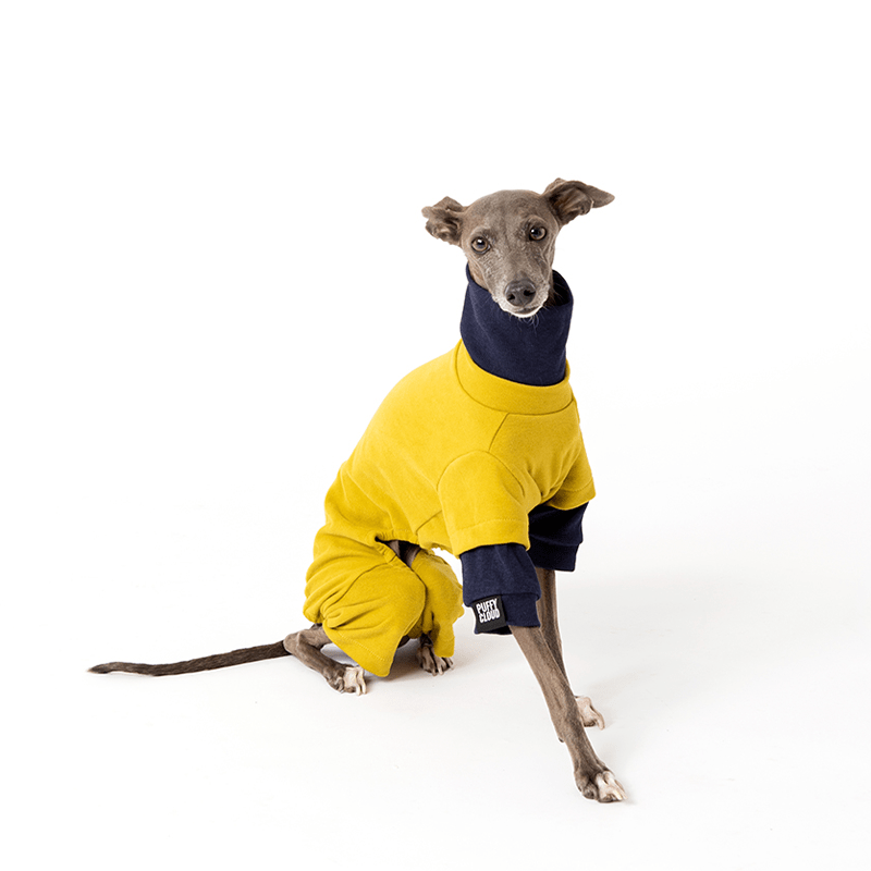 Turtleneck Dog Fleece Onesies Clothes Italian Greyhound Whippet - PIKAPIKA