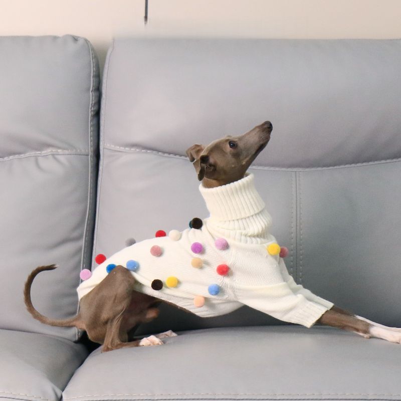 Turtleneck Knit Sweater with Pom - Poms for Italian Greyhound & Whippet - PIKAPIKA