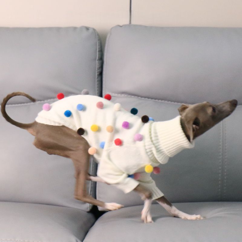 Turtleneck Knit Sweater with Pom - Poms for Italian Greyhound & Whippet - PIKAPIKA