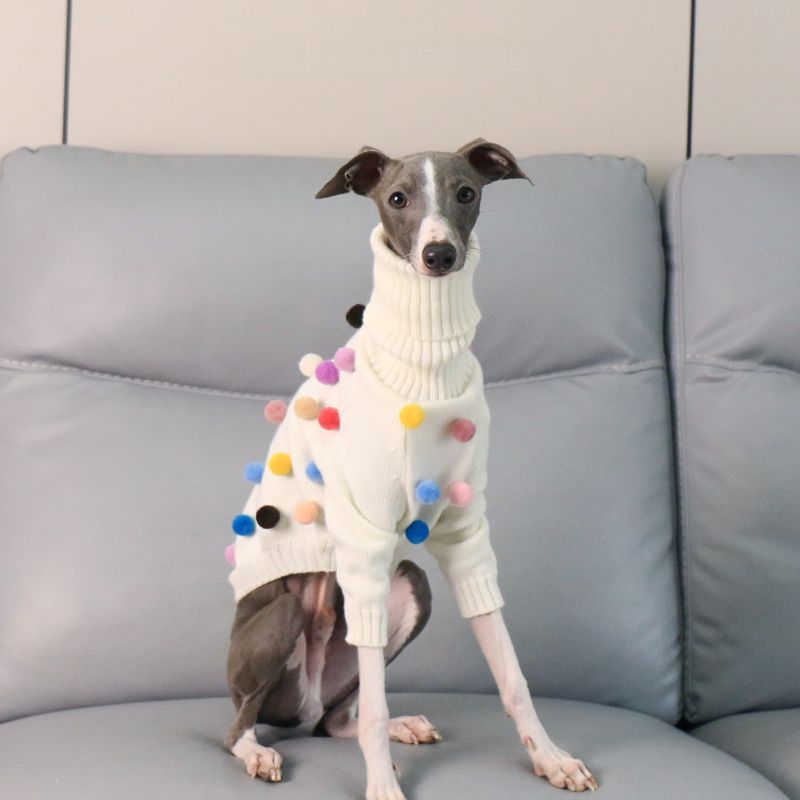 Turtleneck Knit Sweater with Pom - Poms for Italian Greyhound & Whippet - PIKAPIKA