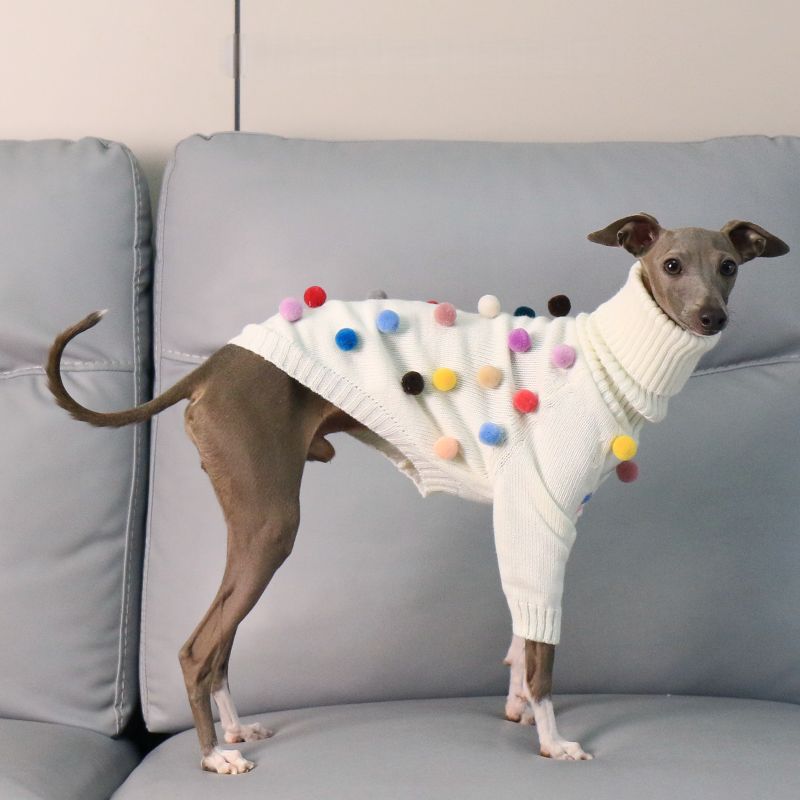 Turtleneck Knit Sweater with Pom - Poms for Italian Greyhound & Whippet - PIKAPIKA