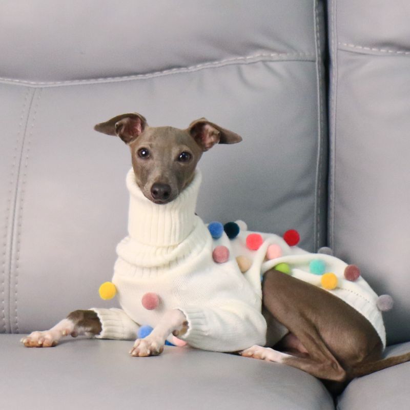 Turtleneck Knit Sweater with Pom - Poms for Italian Greyhound & Whippet - PIKAPIKA
