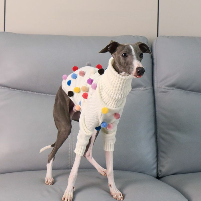 Turtleneck Knit Sweater with Pom - Poms for Italian Greyhound & Whippet - PIKAPIKA