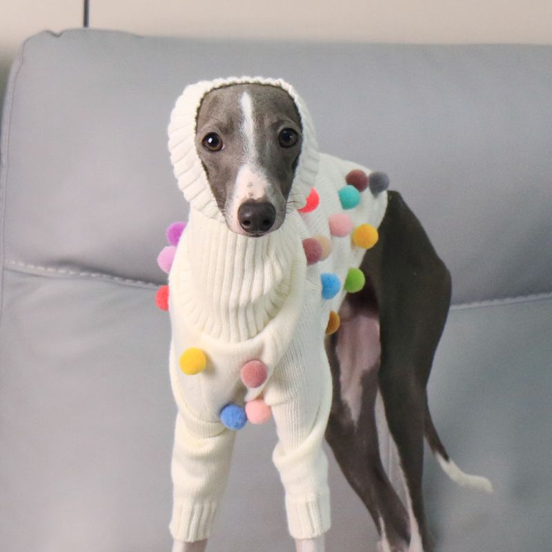 Turtleneck Knit Sweater with Pom - Poms for Italian Greyhound & Whippet - PIKAPIKA