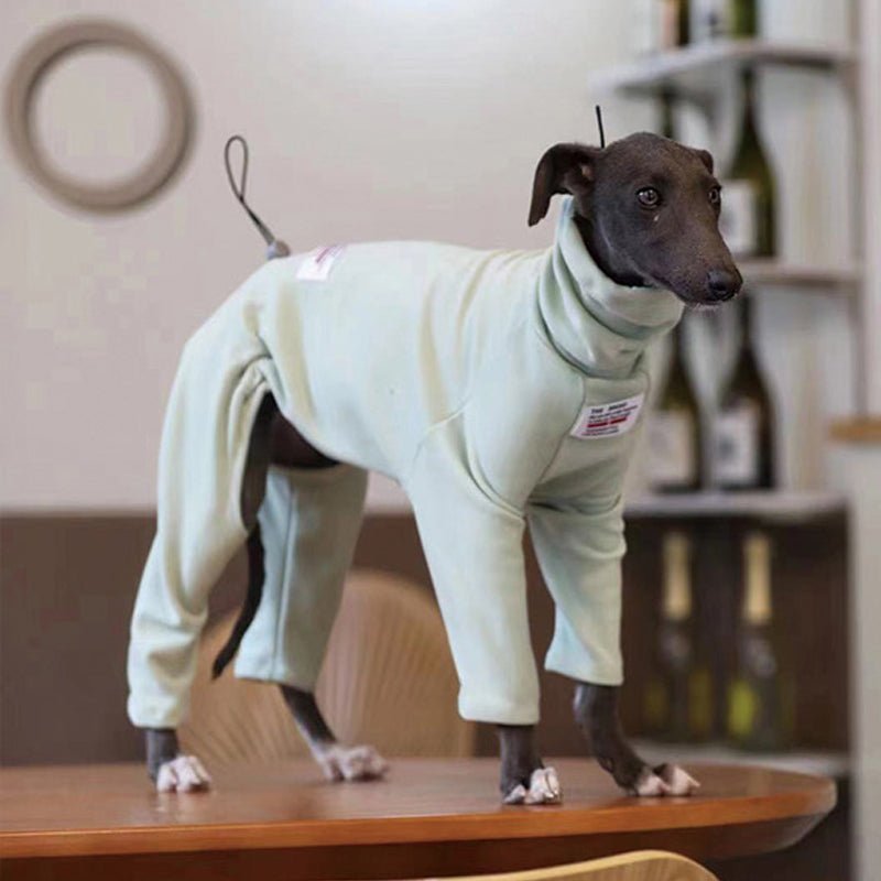 Turtleneck Onesie Italian Greyhound Whippet Dog Clothes - PIKAPIKA
