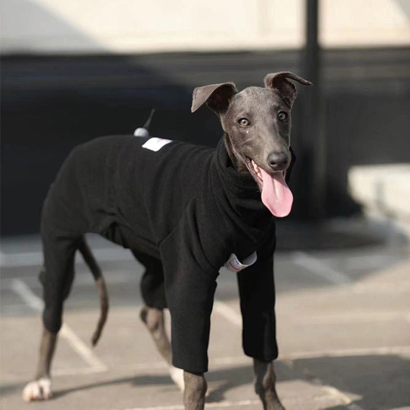 Turtleneck Onesie Italian Greyhound Whippet Dog Clothes - PIKAPIKA