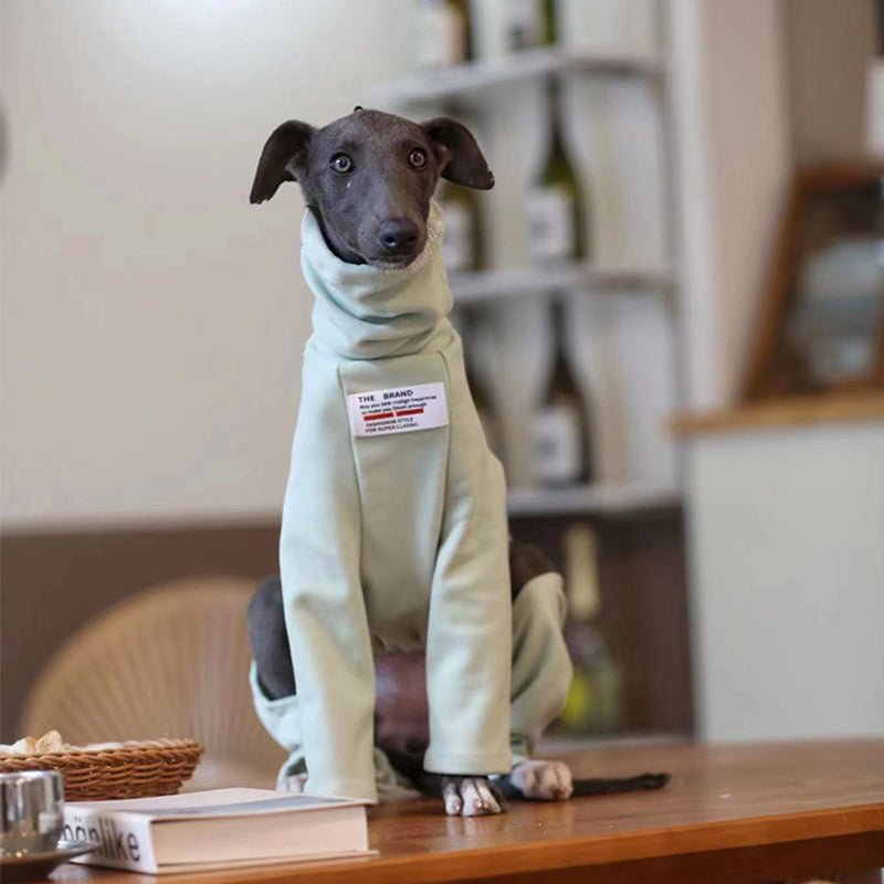 Turtleneck Onesie Italian Greyhound Whippet Dog Clothes - PIKAPIKA