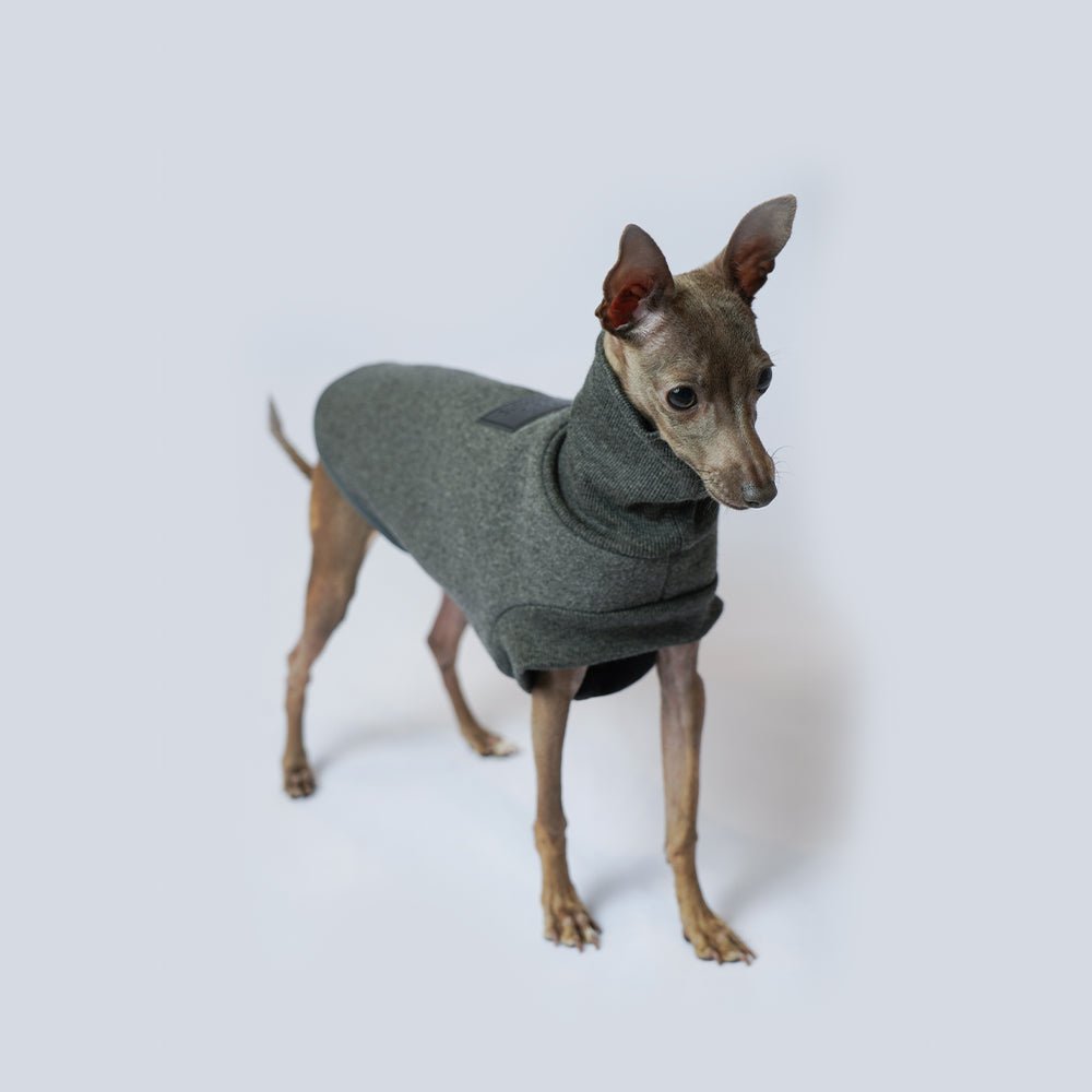 Turtleneck Shirts Sleeveless Italian greyhound Whippet Dog Clothes - PIKAPIKA