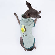 Turtleneck Sleeveless Tank Top for Italian greyhound whippet - PIKAPIKA
