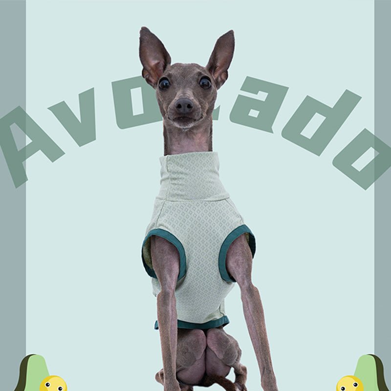 Turtleneck Sleeveless Tank Top for Italian greyhound whippet - PIKAPIKA
