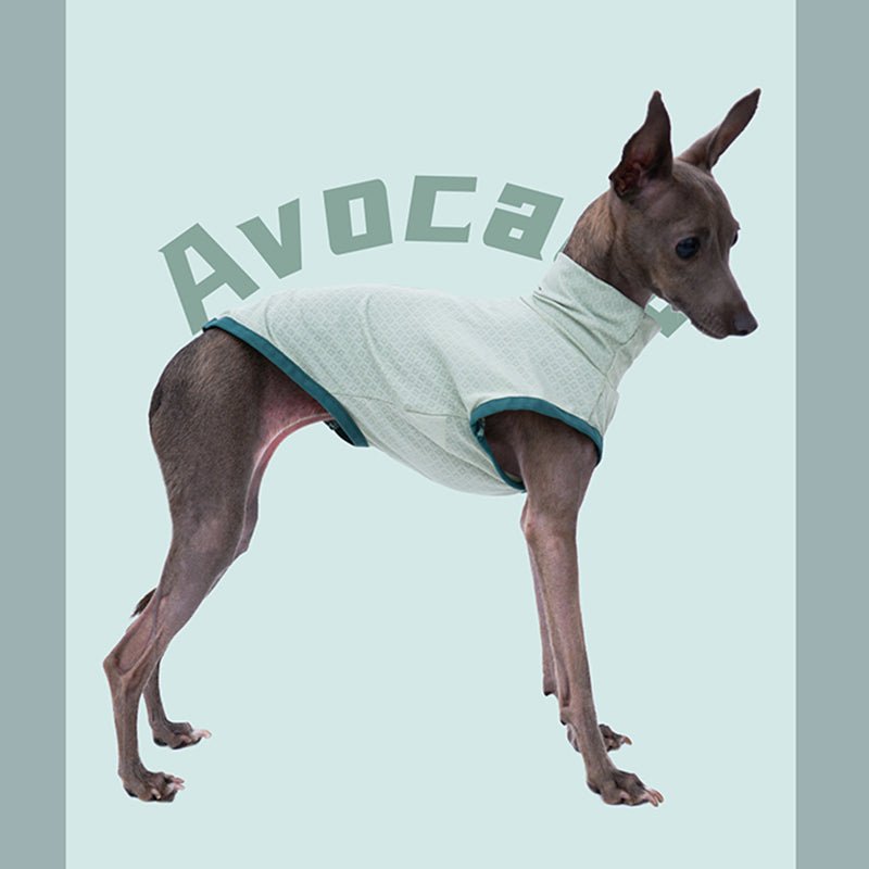 Turtleneck Sleeveless Tank Top for Italian greyhound whippet - PIKAPIKA