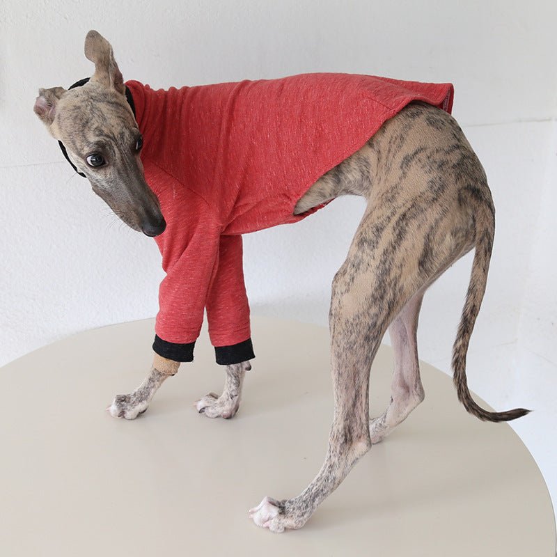 Two - Tone Sleeve Turtleneck Italian Greyhound Whippet Dog Clothes - PIKAPIKA