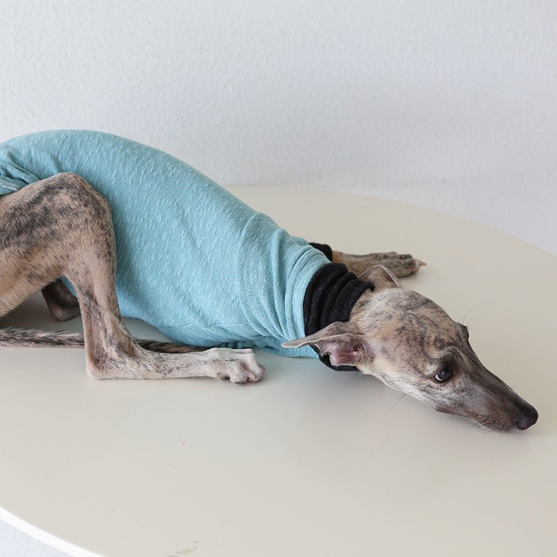 Two - Tone Sleeve Turtleneck Italian Greyhound Whippet Dog Clothes - PIKAPIKA
