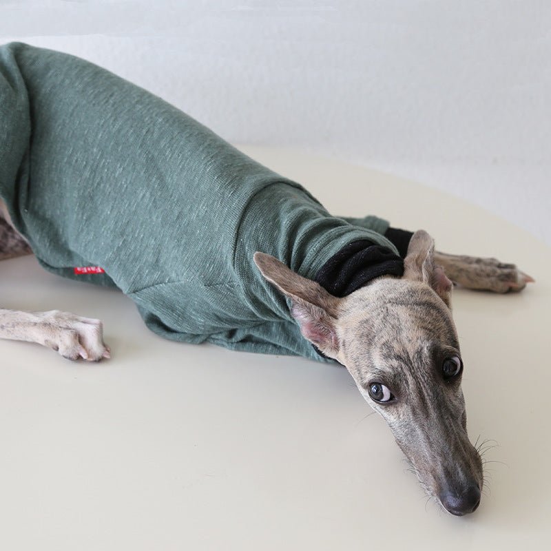 Two - Tone Sleeve Turtleneck Italian Greyhound Whippet Dog Clothes - PIKAPIKA