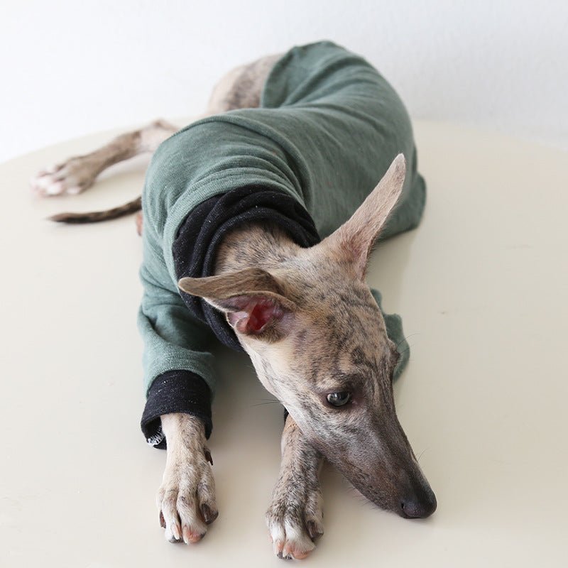 Two - Tone Sleeve Turtleneck Italian Greyhound Whippet Dog Clothes - PIKAPIKA