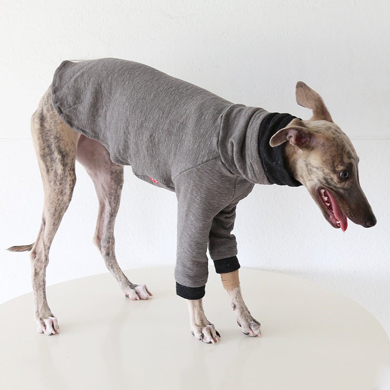 Two - Tone Sleeve Turtleneck Italian Greyhound Whippet Dog Clothes - PIKAPIKA